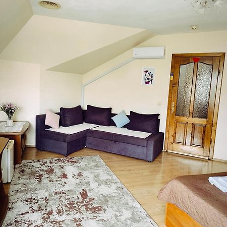 Hotel Delfin Moekatsjeve Buitenkant foto